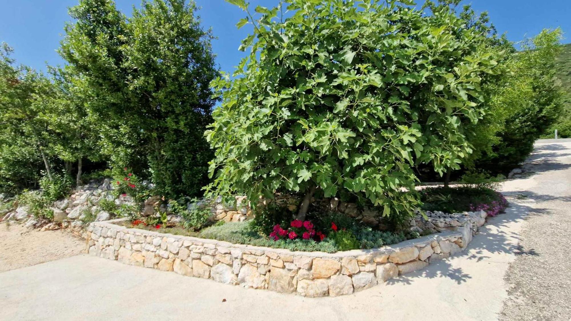 Villa Paradise Garden Ston Εξωτερικό φωτογραφία