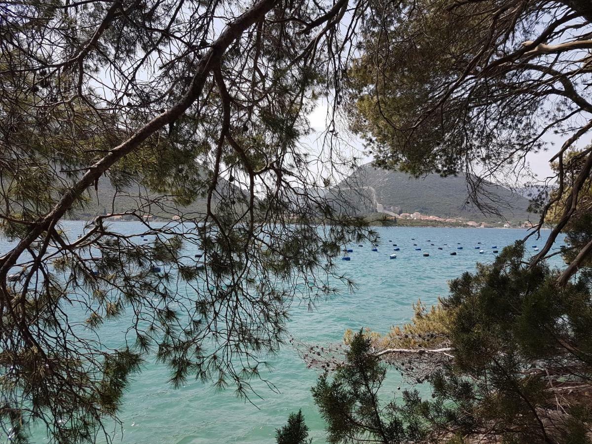 Villa Paradise Garden Ston Εξωτερικό φωτογραφία