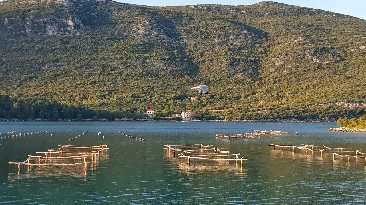 Villa Paradise Garden Ston Εξωτερικό φωτογραφία